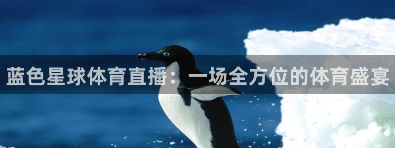 雨燕360体育免费直播nba国王：蓝色星球体育直播：一场全方位的体育盛宴