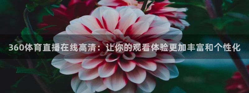 雨燕360直播nba免费观看：360体育直播在线高清：让你的观看体验更加丰富和个性化