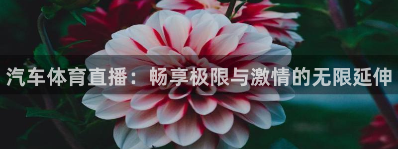 乐球吧nba直播雨燕360：汽车体育直播：畅享极限与激情的无限延伸