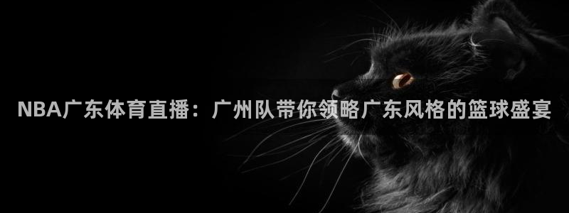 雨燕360体育现场直播