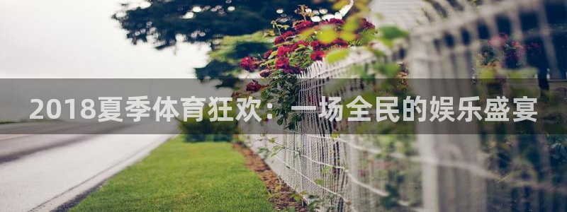 雨燕360体育直播nba