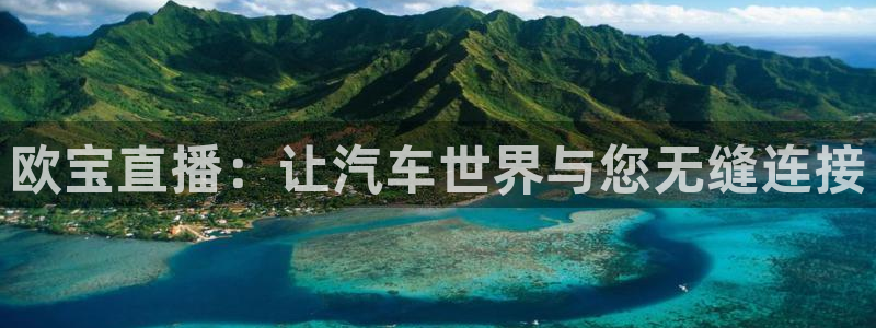 雨燕360体育免费观看